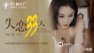 91CM-172 เสียใจรัก 33 วัน