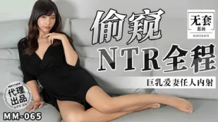 MM-065 NTR ขโมยทั้งเรื่อง ภรรยานมโตโดนแตกใน
