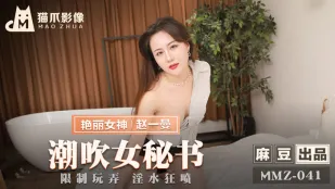 MMZ-041 เลขาคลั่งฉีดน้ำ