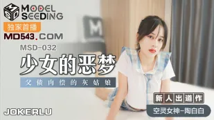 MSD-032 ฝันร้ายของสาวน้อย: เซนเดอเรลล่าชดใช้หนี้พ่อด้วยร่าง Tao Baibai